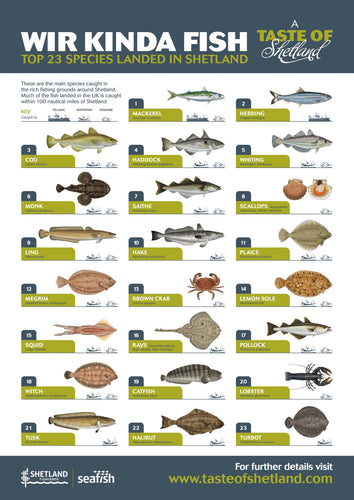 Wir Kinda Fish Poster
