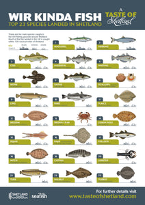 Wir Kinda Fish Poster